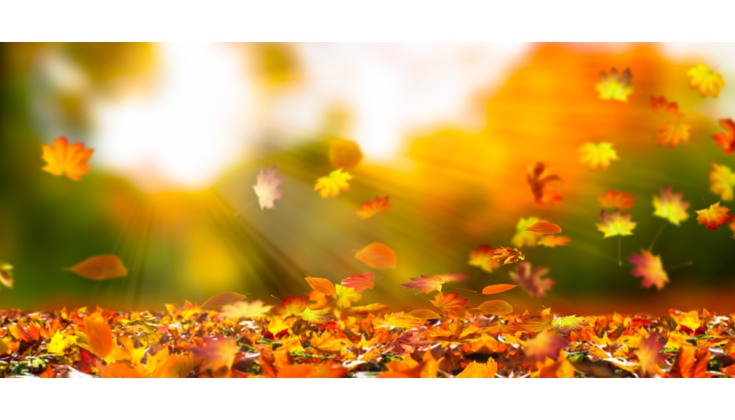 Fall Scented Soap